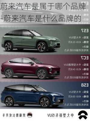 蔚來汽車是屬于哪個品牌-蔚來汽車是什么品牌的