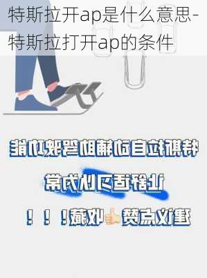 特斯拉開ap是什么意思-特斯拉打開ap的條件