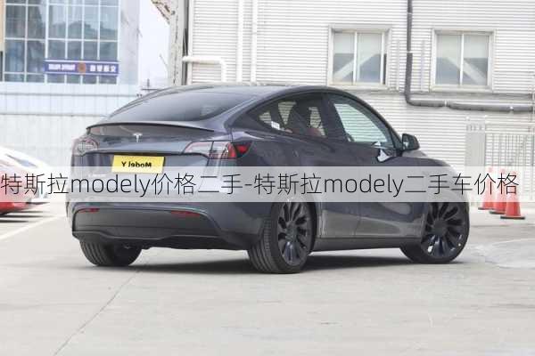 特斯拉modely價格二手-特斯拉modely二手車價格